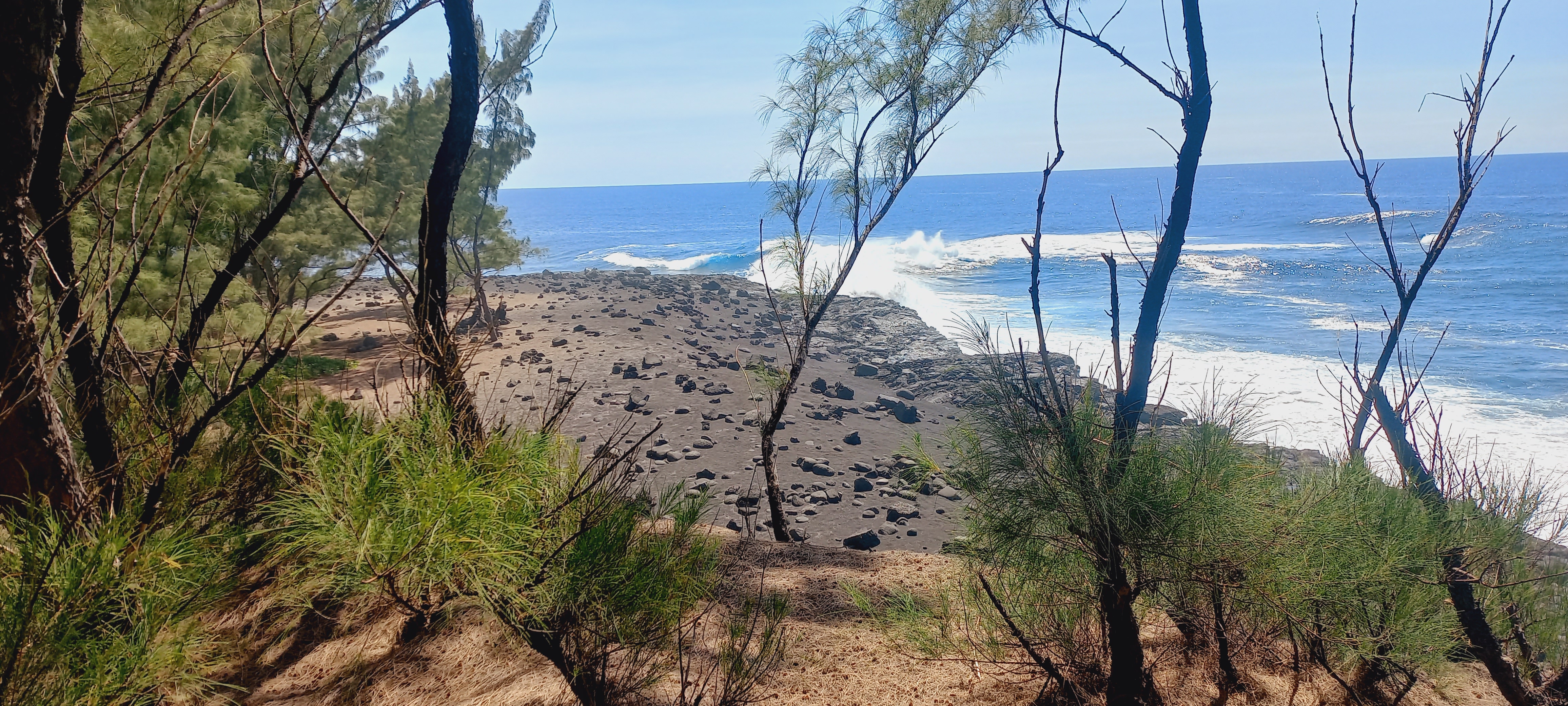 La pointe de la table