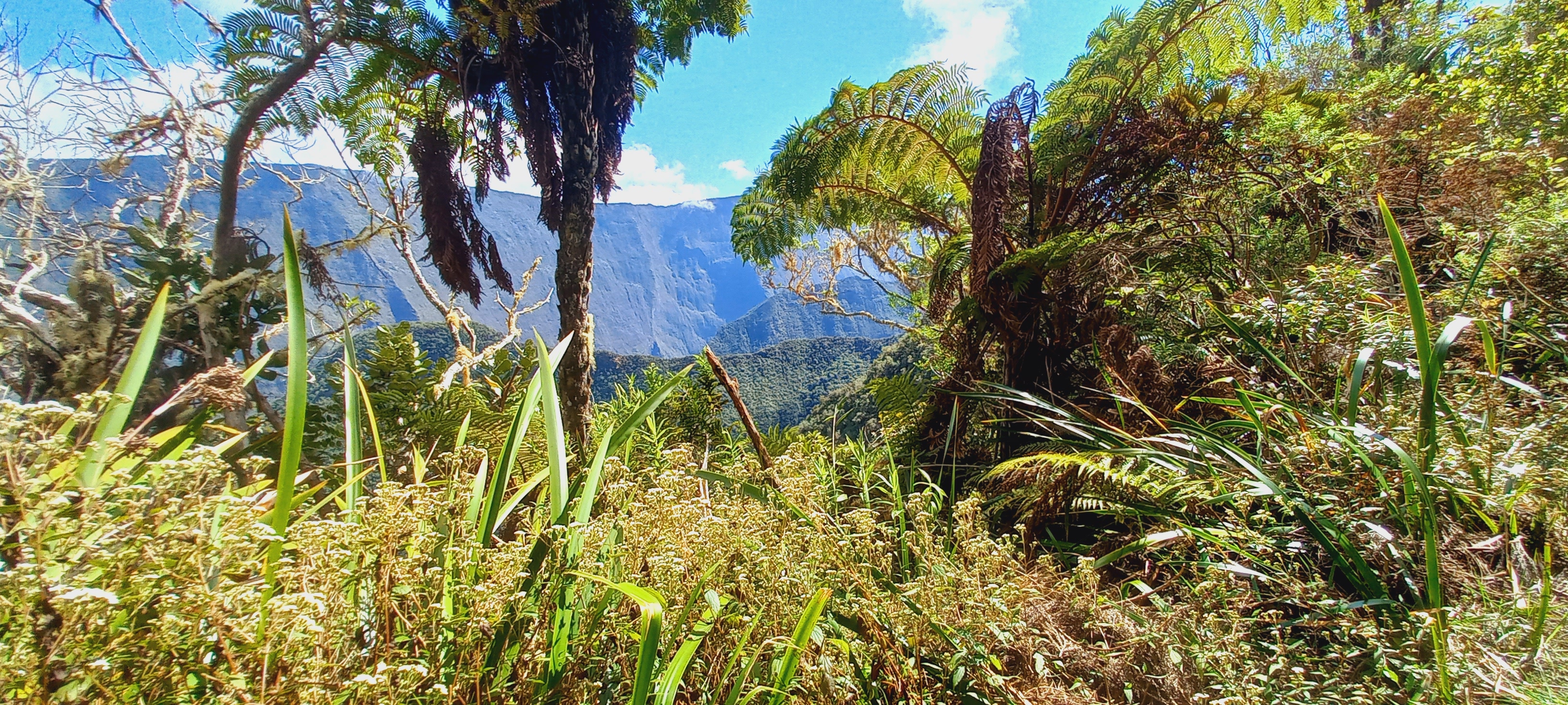 Le sentier Maron à Grand Coude