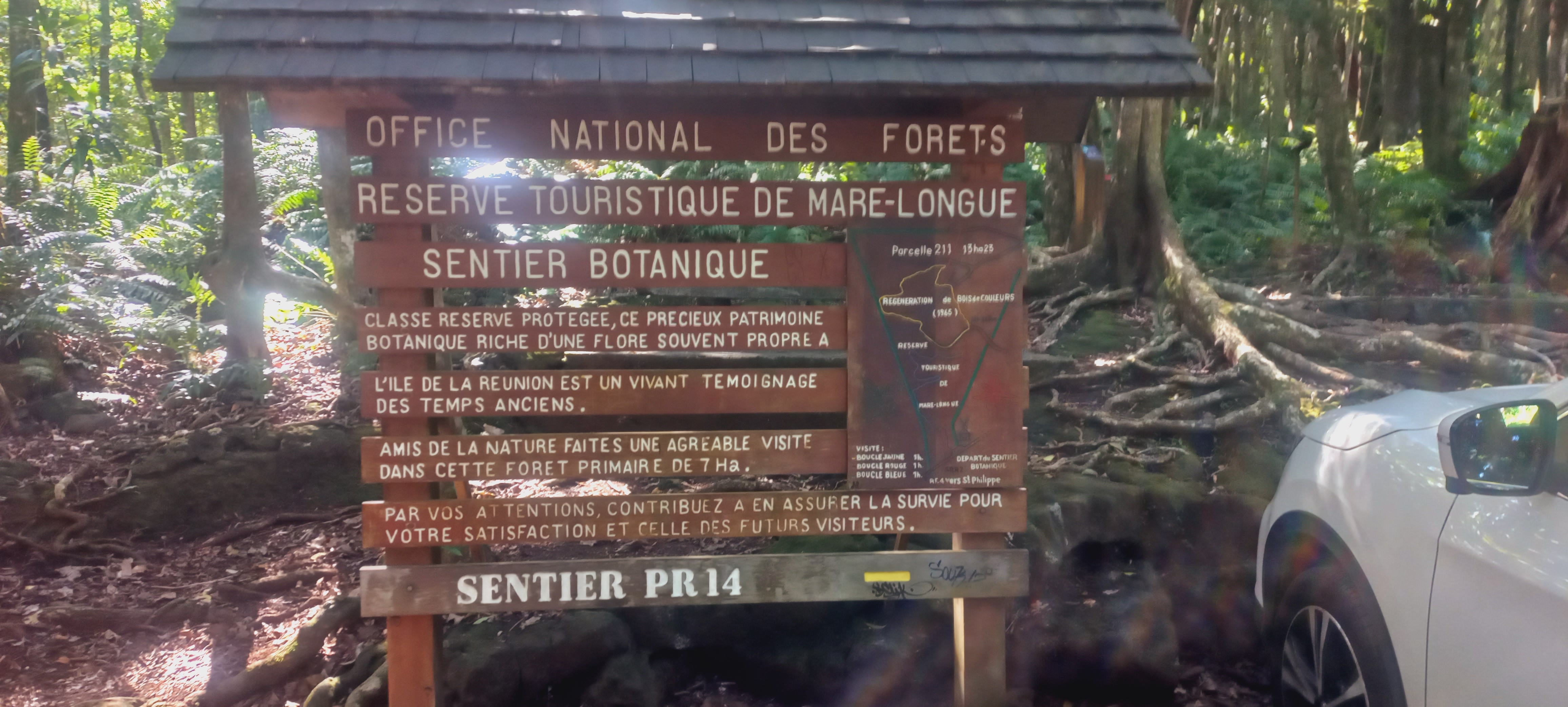 Forêt de Mare-Longue ou forêt des ninjas pour Mattéo/Océane